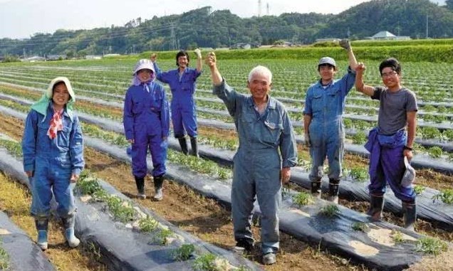 日本勞務(wù)派遣農(nóng)業(yè)類、食品加工、建筑業(yè)、電子業(yè)招聘